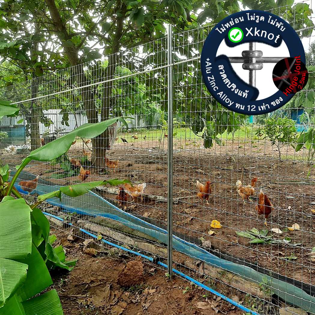 รั้วไก่ รั้วตาข่าย 5x10 พีพีเฟ้นซ์ 2